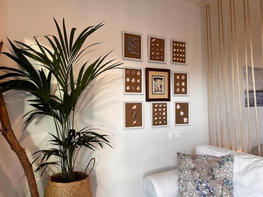 Ocean Dream Apartments - Lovely Sea View Studio Apartment 5Min From Beach San Marcos  Buitenkant foto